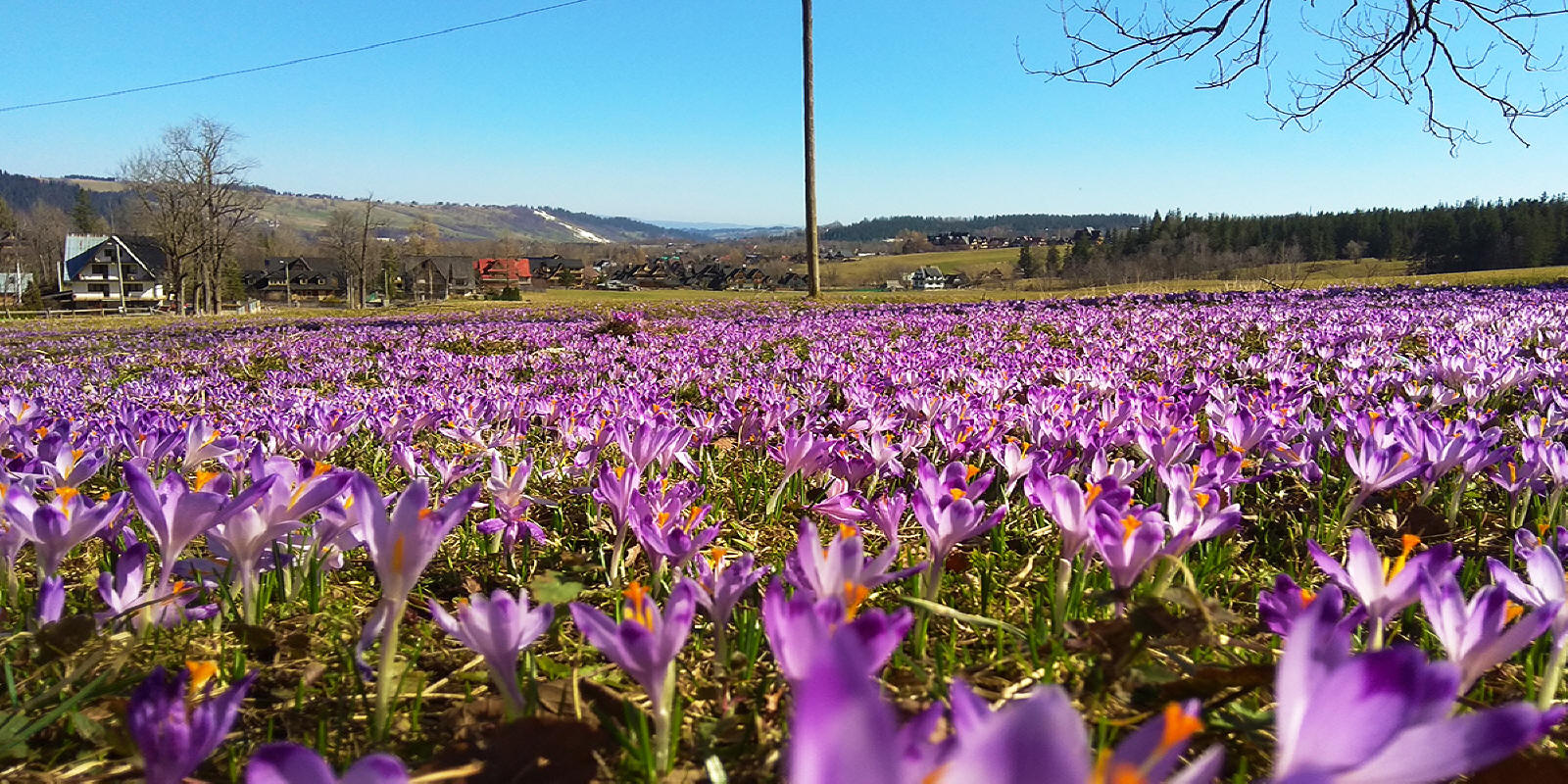 U LISA коттедж аренда комнат ночлеги отдых в Польше горы Татры Закопане 01